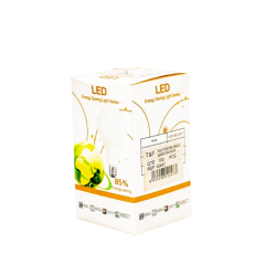 Ampoule LED 3W E27 6500K