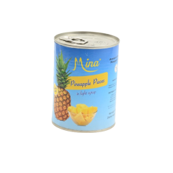 Ananas en morceaux MINA 565GR