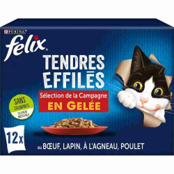 PURINA FELIX TENDRES EFFILES