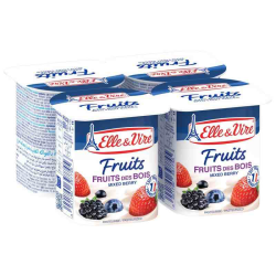 DESSERT LACTE FRUIT DES BOIS ELLE&VIRE 125G